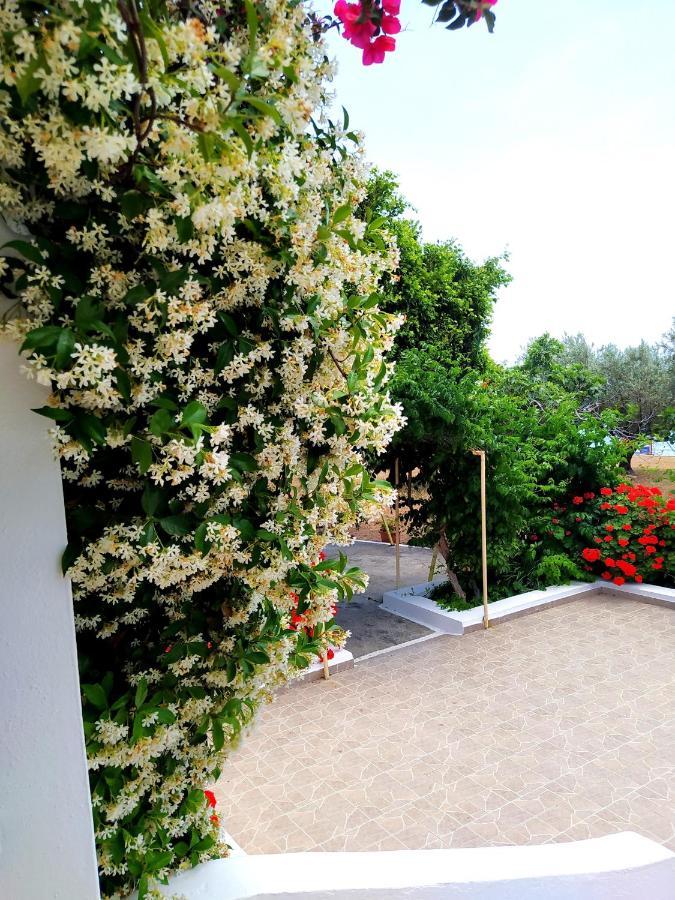 Villa Stella Family House Pefki  ภายนอก รูปภาพ
